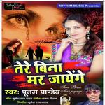 Poonam Pandey Songs MP3 Download